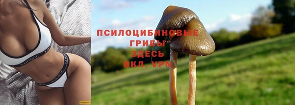 spice Щучье