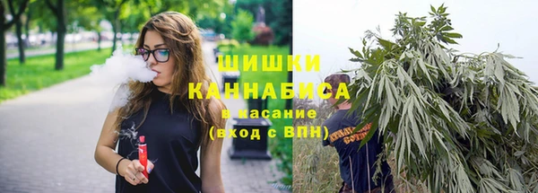apvp Заводоуковск