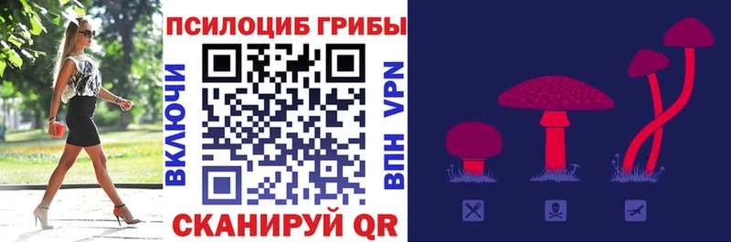 blacksprut ТОР  Светогорск  Галлюциногенные грибы MAGIC MUSHROOMS  как найти закладки 